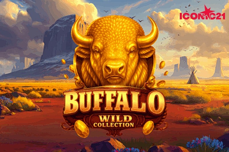 Iconic21 Buffalo Wild Collection